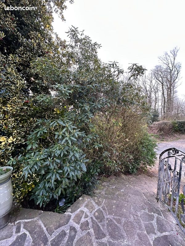 Maison à vendre, 144m², Sizun