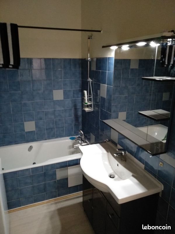 Appartement à louer, 42m², Villeurbanne