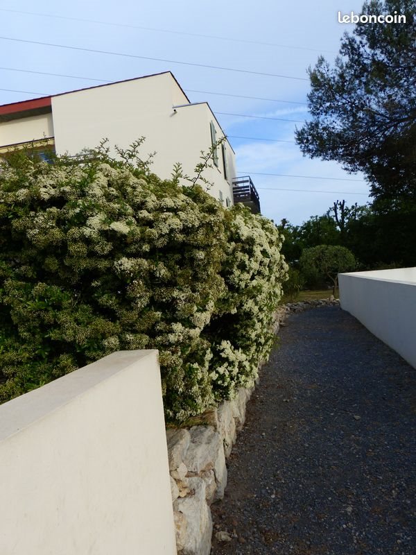 Appartement à louer, 66m², Valbonne