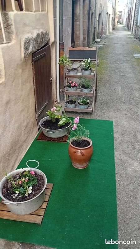 Maison à vendre, 60m², Entraygues-sur-Truyère