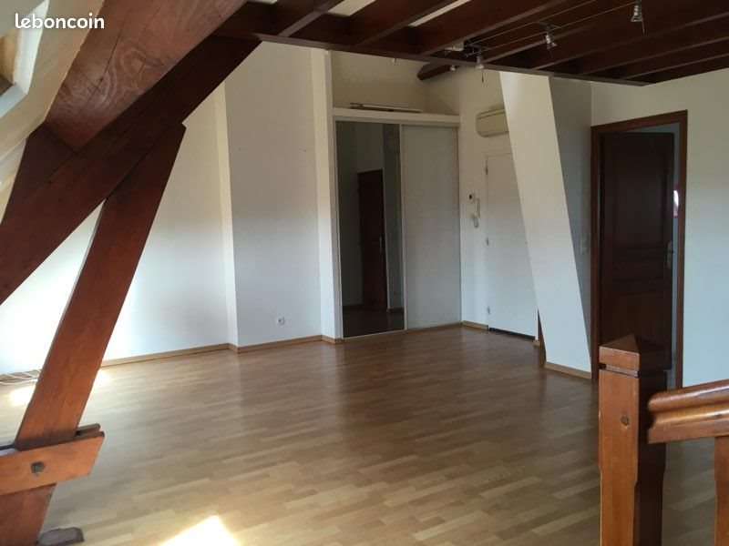 Appartement à louer, 50m², Orléans