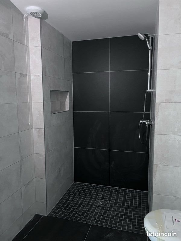Appartement à louer, 45m², Colmar