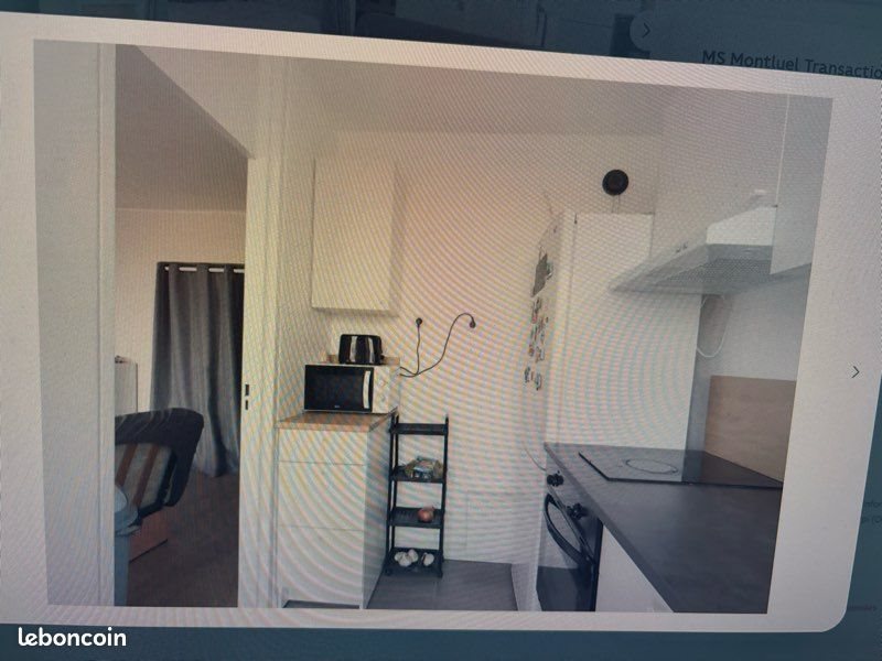 Appartement à louer, 34m², Villeurbanne