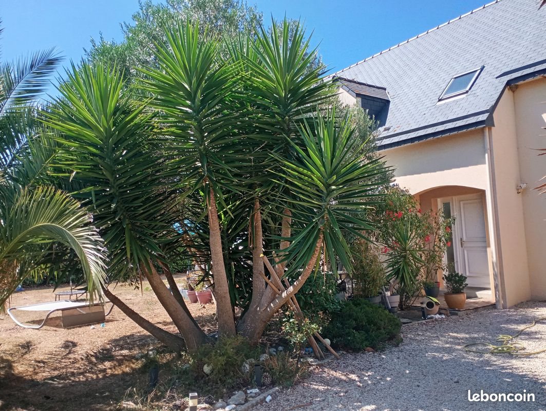 Maison à vendre, 165m², Saint-Méloir-des-Ondes