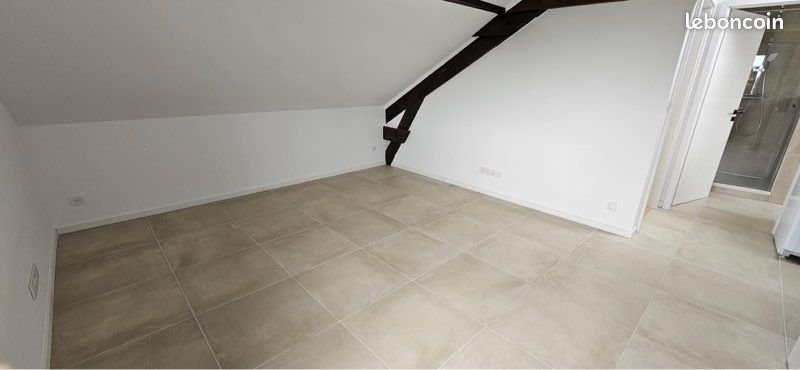 Appartement à louer, 25m², Waldighofen