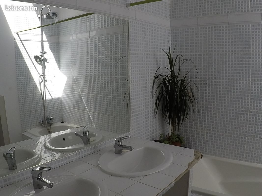 Appartement à louer, 60m², Graulhet