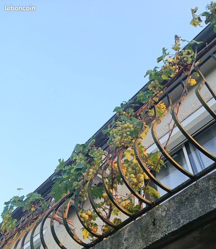 Maison à vendre, 190m², Castres