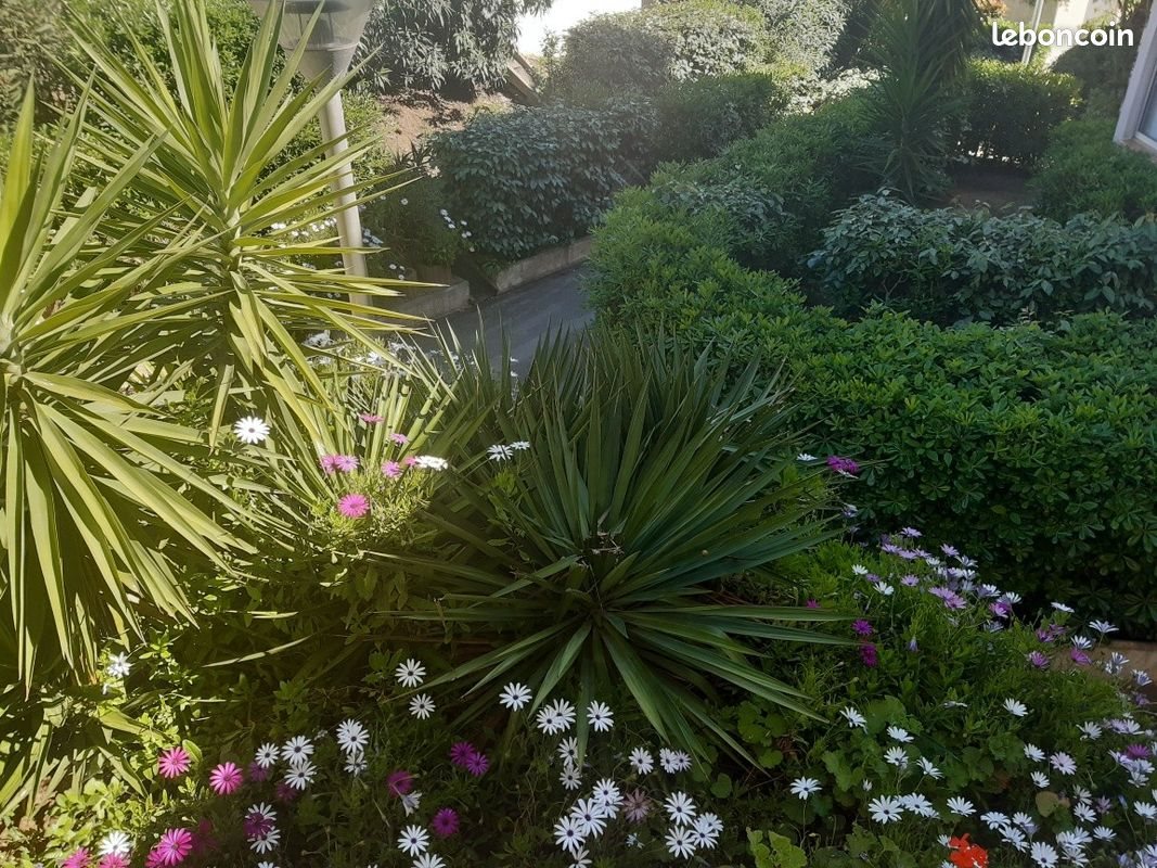 Appartement à vendre, 16m², Agde (Cap d'Agde)