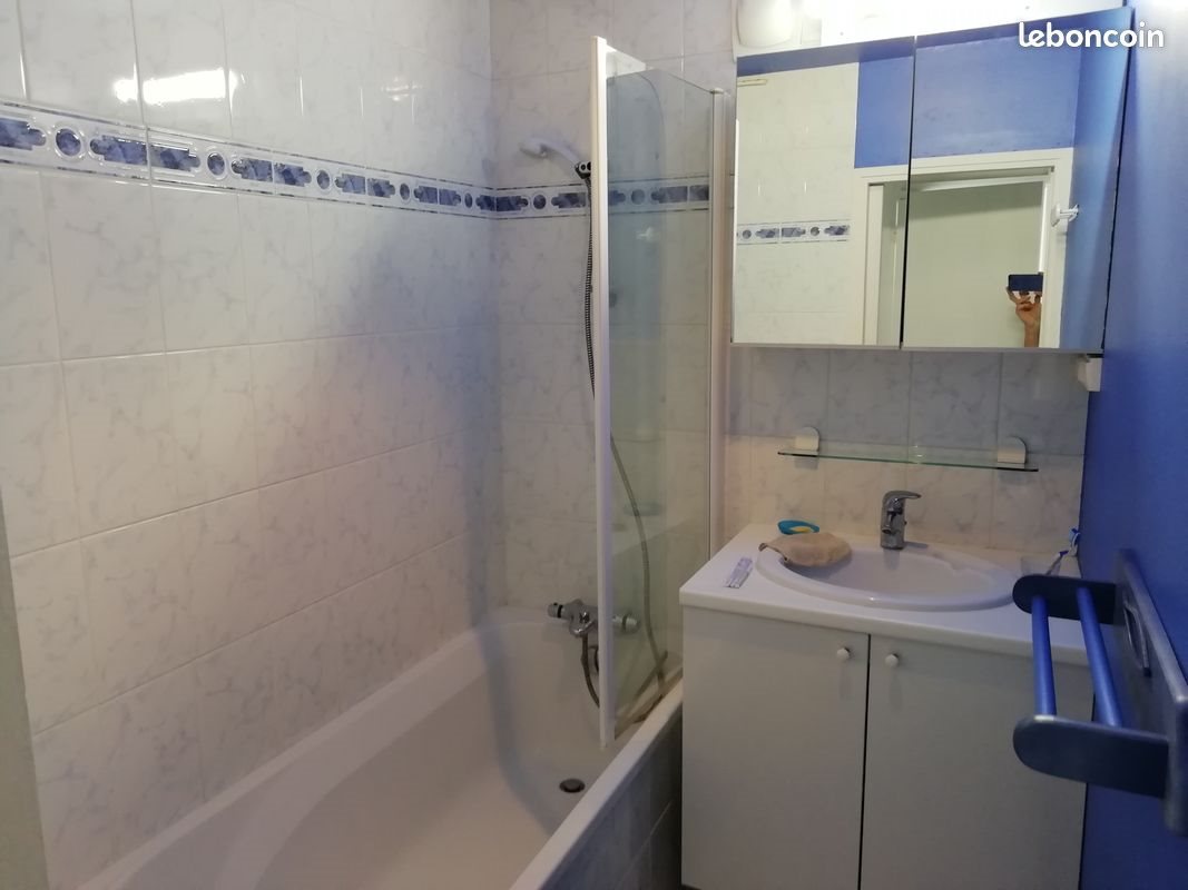 Appartement à louer, 45m², Lille