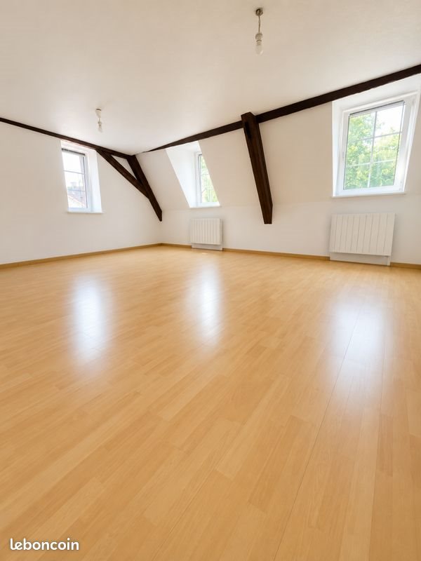 Appartement à louer, 54m², Haguenau