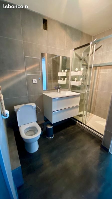Appartement à louer, 51m², Saint-Priest