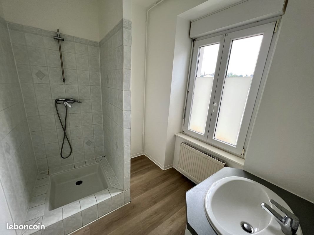 Appartement à louer, 53m², Riedisheim