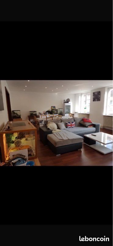 Appartement à louer, 140m², Bitche