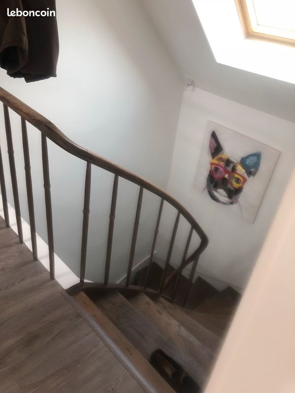 Appartement à louer, 52m², Mayenne