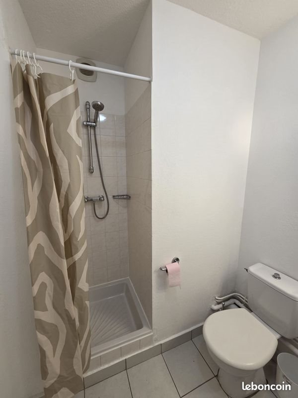 Appartement à louer, 19m², Saint-Etienne