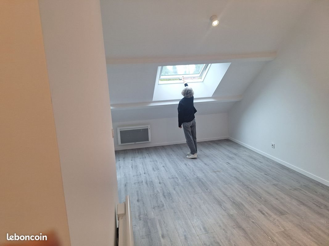 Appartement à louer, 40m², Châteauneuf-sur-Loire