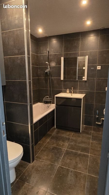 Appartement à louer, 36m², Tarare