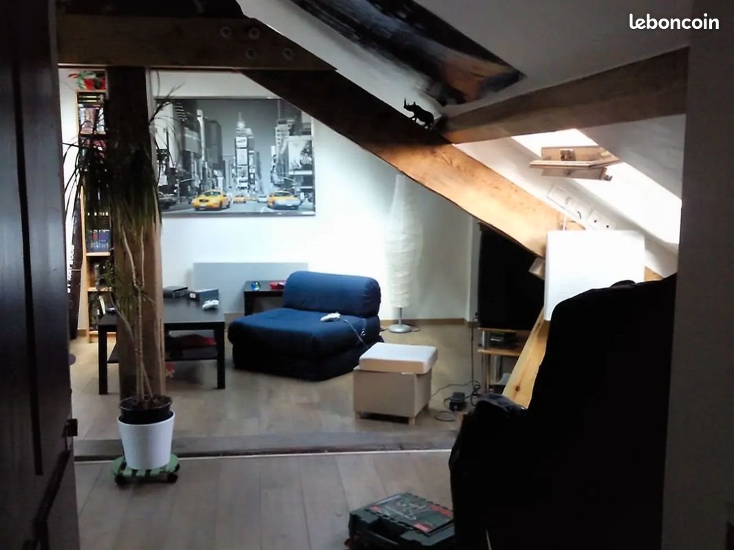 Appartement à louer, 30m², Villeurbanne