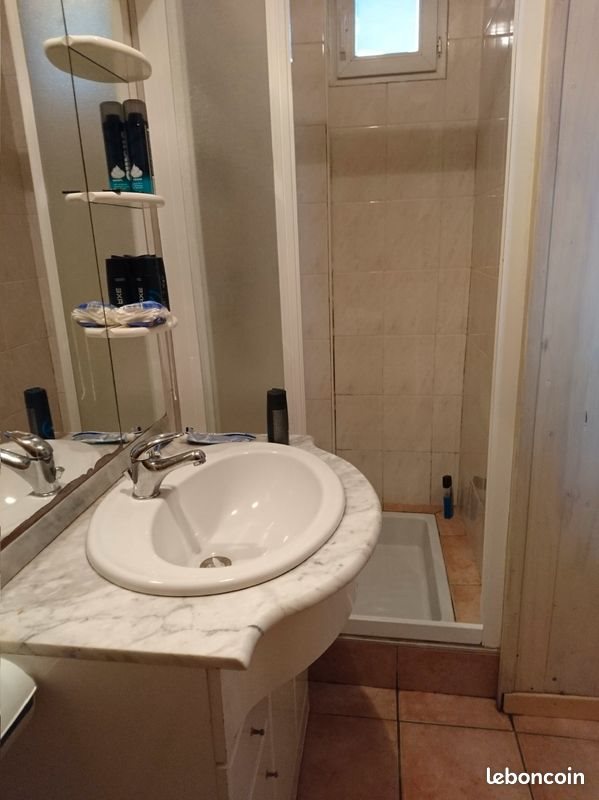 Appartement à louer, 20m², Cluses