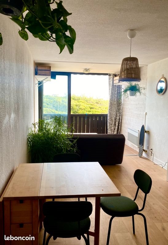 Appartement à louer, 35m², Seignosse