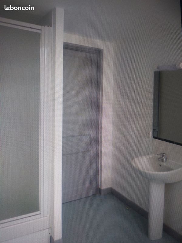 Appartement à louer, 49m², Lille