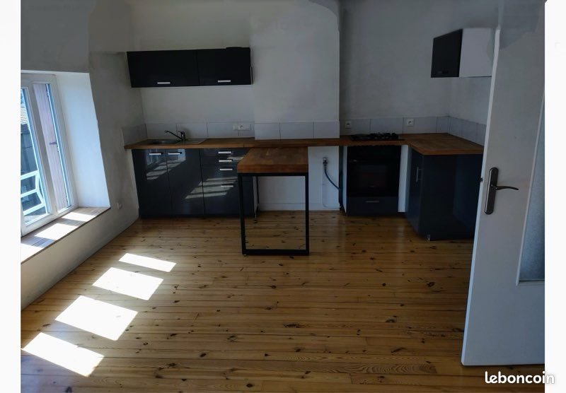 Appartement à louer, 53m², Saint-Etienne