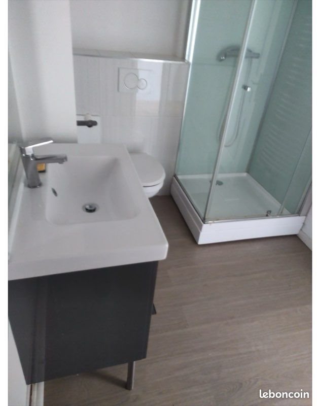 Appartement à louer, 53m², Saint-Etienne
