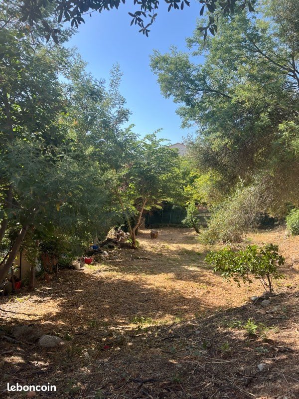 Maison à vendre, 370m², Sari-Solenzara