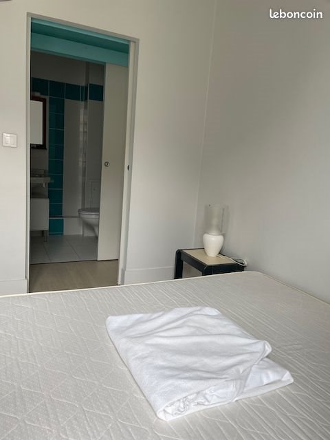 Appartement à louer, 28m², Saint-Étienne