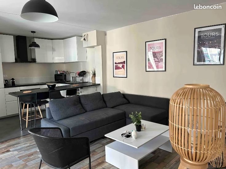 Appartement à louer, 51m², Tours