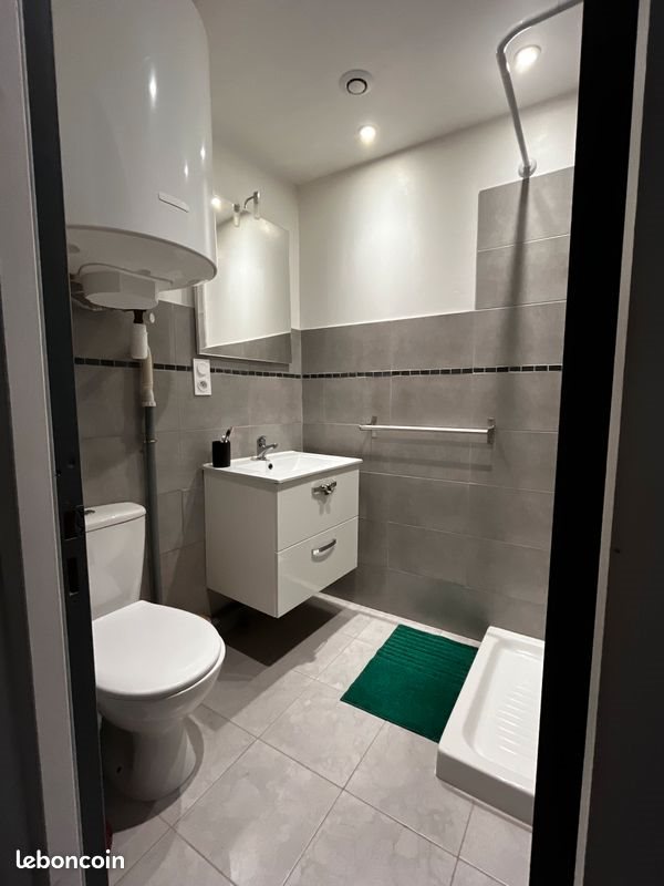 Appartement à louer, 32m², Saint-Etienne