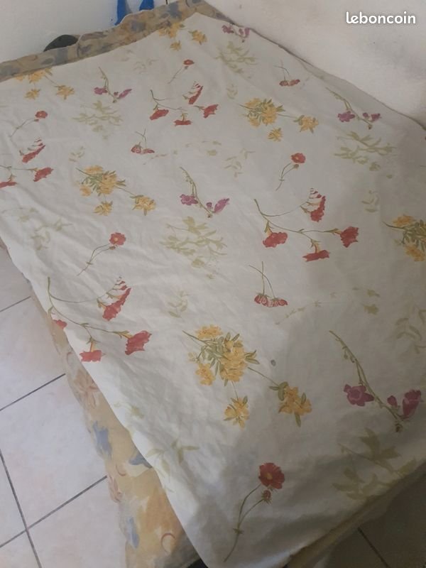 Appartement à louer, 22m², Canet-en-Roussillon
