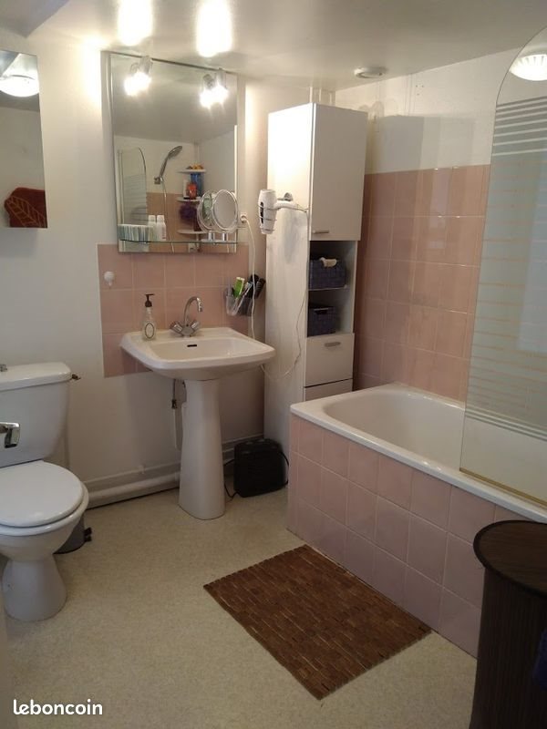 Appartement à louer, 48m², Nancy