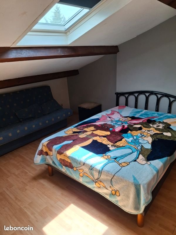 Appartement à louer, 28m², Albi