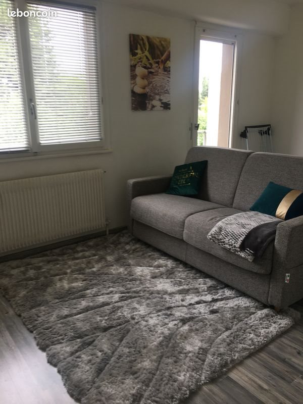 Appartement à louer, 28m², Annecy
