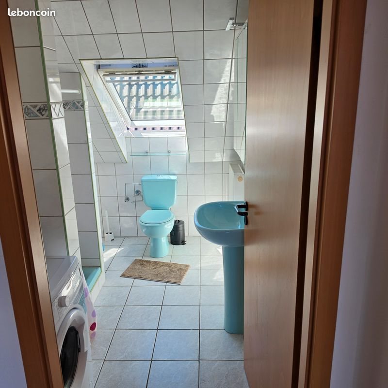 Appartement à louer, 34m², Roeschwoog