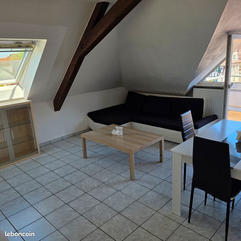 Appartement à louer, 34m², Roeschwoog