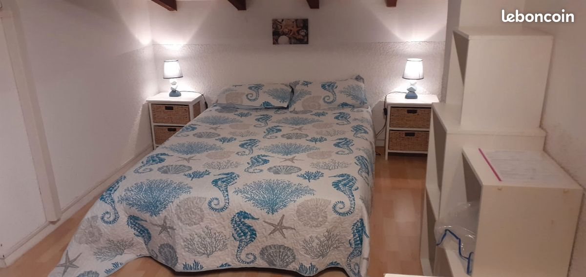 Appartement à louer, 50m², Albitreccia