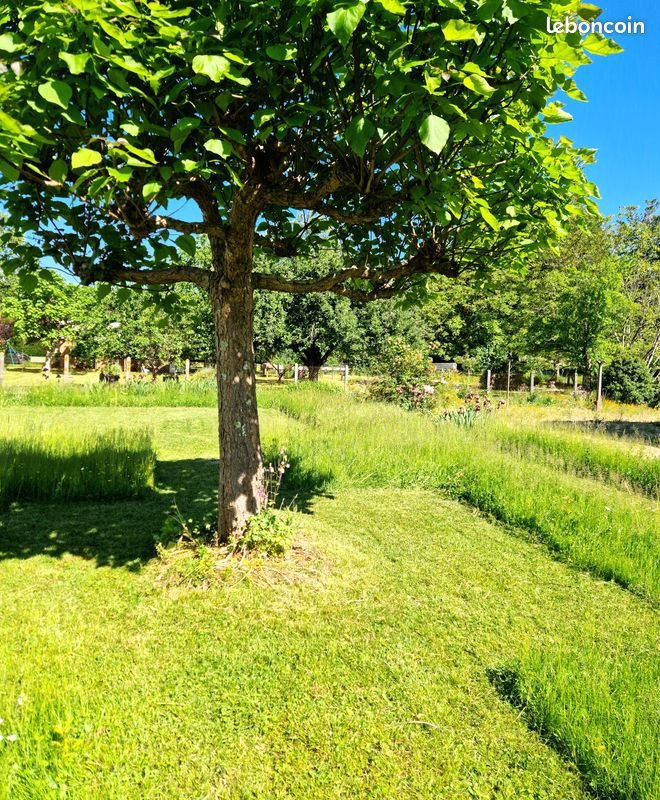 Maison à louer, 110m², Excideuil