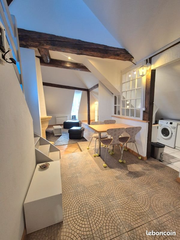 Appartement à louer, 50m², Colmar