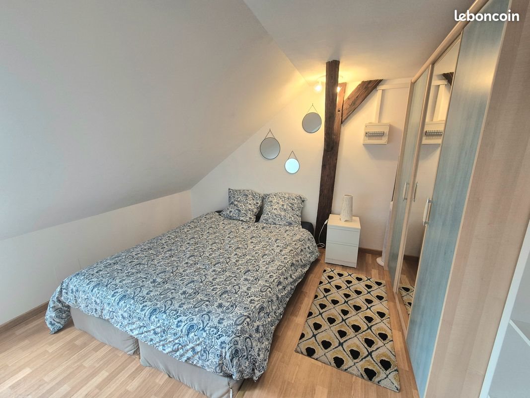 Appartement à louer, 50m², Colmar