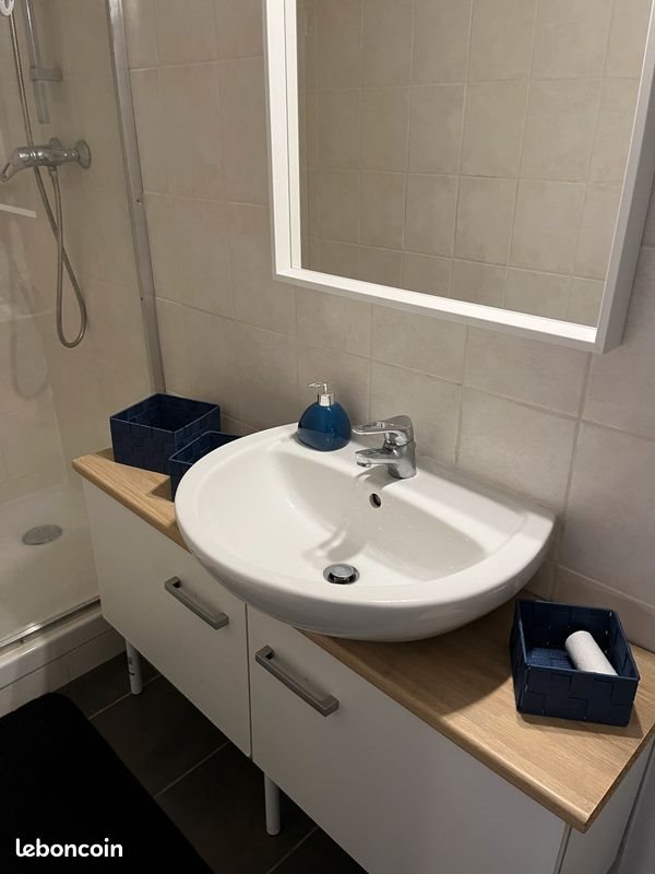 Appartement à louer, 28m², Saint-Etienne