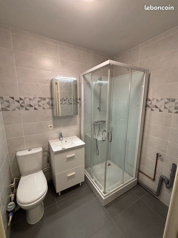 Appartement à louer, 20m², Nancy