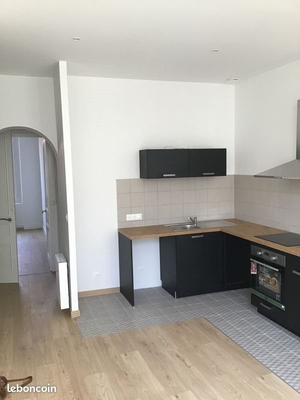 Appartement à louer, 53m², Saint-Etienne