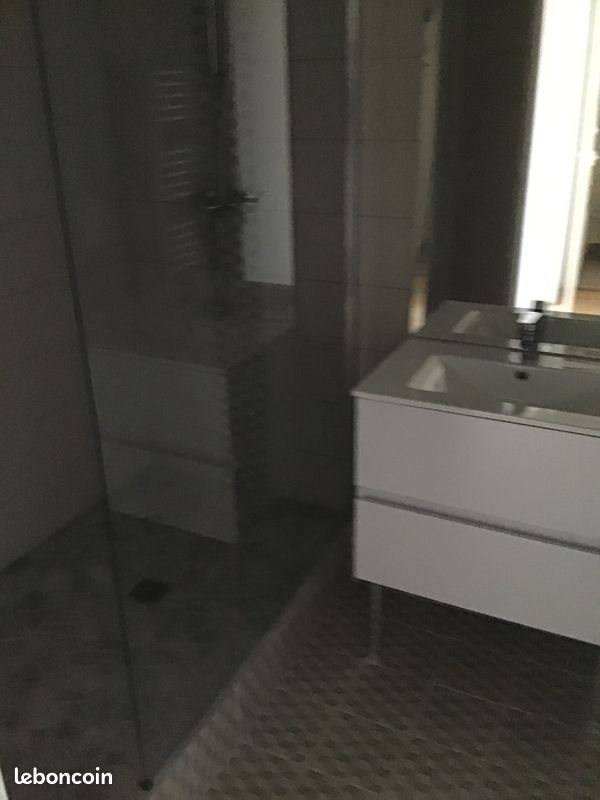 Appartement à louer, 53m², Saint-Etienne