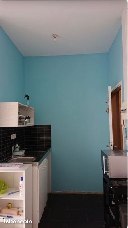 Appartement à louer, 20m², Lille