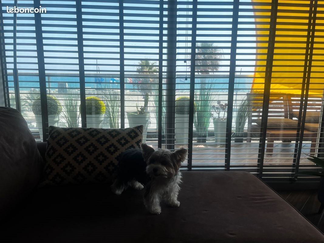 Appartement à vendre, 56m², Canet-en-Roussillon