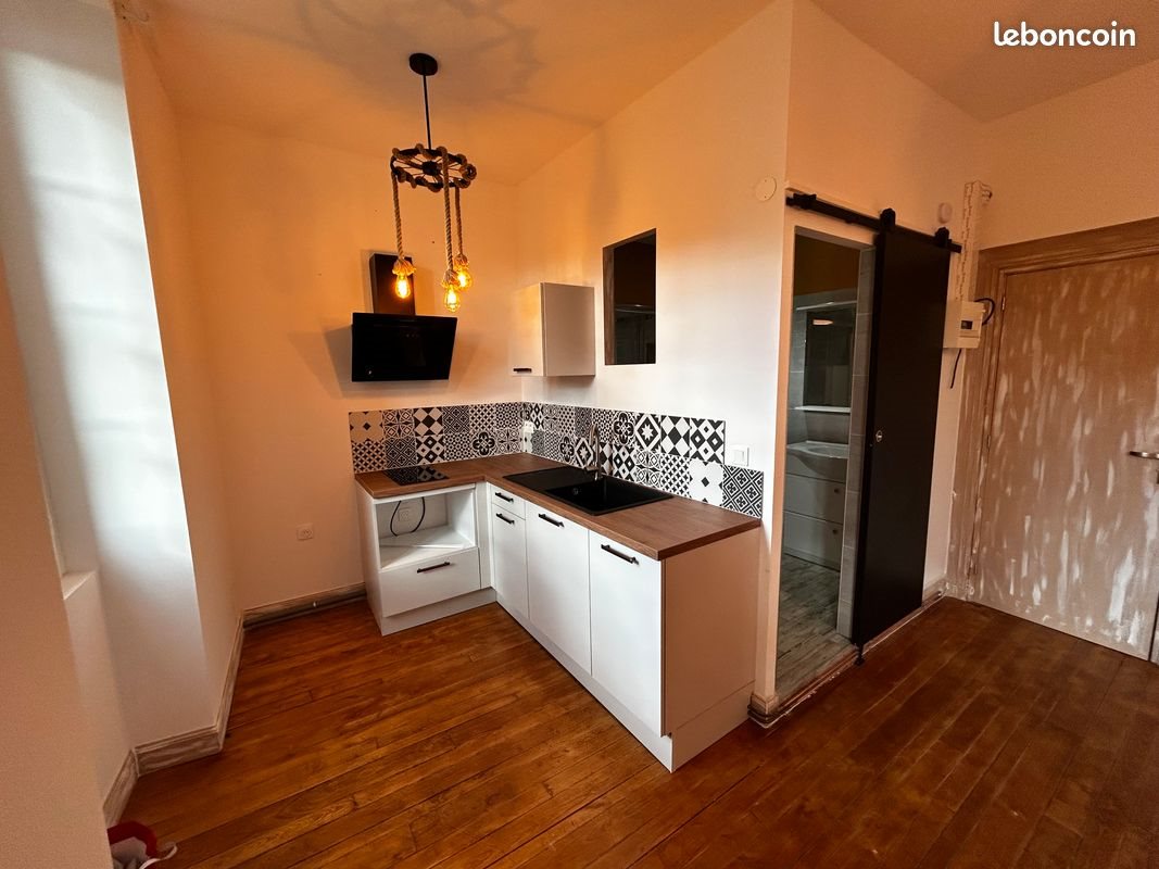 Appartement à louer, 22m², Montignac-Lascaux