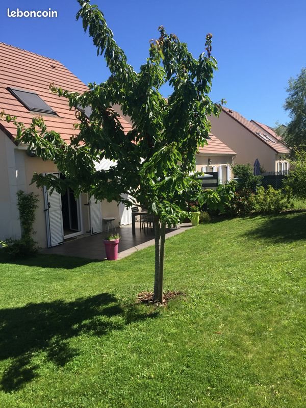 Maison à louer, 90m², Saint-Jean-de-Braye