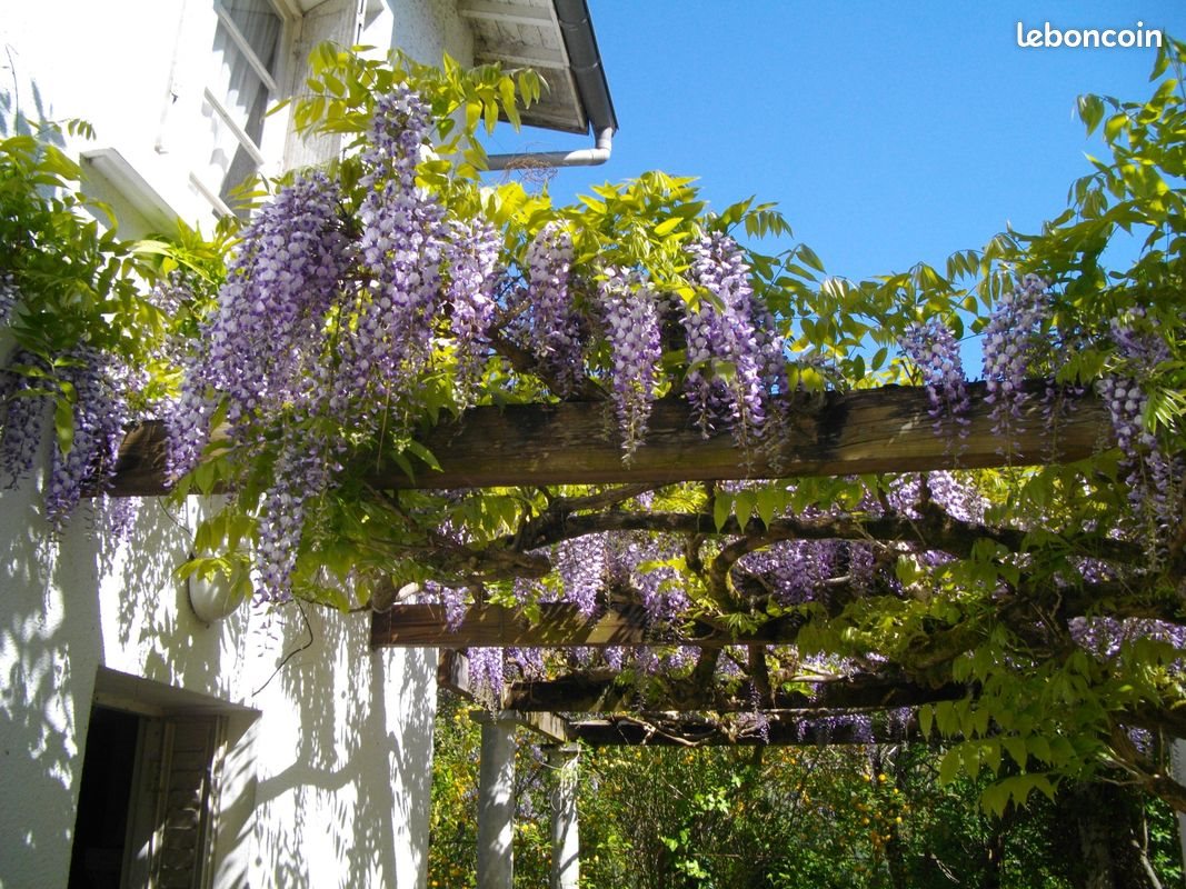 Maison à vendre, 165m², Pineuilh
